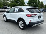 Used 2020 Ford Escape SE image 3