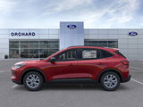 New 2025 Ford Escape Active w/ Cold Weather Package image 3