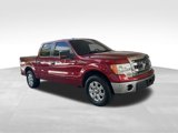 Used 2013 Ford F150 XLT w/ XLT Chrome Pkg image 2