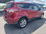 Used 2017 Ford Escape SE image 5