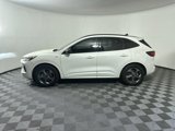 New 2024 Ford Escape ST-Line w/ Tech Pack #1 image 5