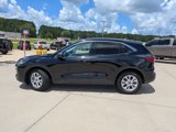Used 2024 Ford Escape Active image 5
