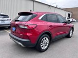 Used 2020 Ford Escape SE image 5