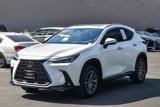 Used 2022 Lexus NX 350 AWD w/ Premium Package image 3