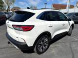 Used 2020 Ford Escape Titanium image 5