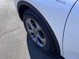 New 2025 Ford Escape ST-Line w/ Equipment Group 301A image 3