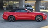 Used 2022 Ford Mustang Premium image 4