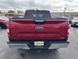 Used 2019 Ford F150 XLT w/ Equipment Group 302A Luxury image 4
