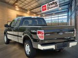 Used 2013 Ford F150 XLT w/ Mid Equipment Group image 6