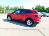 New 2025 Ford Escape Active w/ Tech Pack #1 image 5
