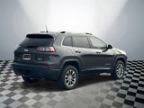 Used 2019 Jeep Cherokee Latitude Plus w/ Comfort/Convenience Group image 3