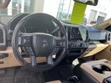 Used 2015 Ford F150 XLT w/ Equipment Group 301A Mid image 5