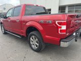 Used 2020 Ford F150 XLT w/ Equipment Group 302A Luxury image 3