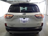 Used 2020 Ford Escape Titanium image 5