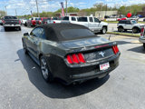 Used 2016 Ford Mustang Convertible w/ Equipment Group 051A image 2