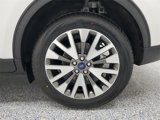 Used 2020 Ford Escape Titanium image 5