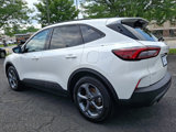 Used 2025 Ford Escape ST-Line w/ Tech Pack #1 image 4