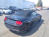 Used 2019 Ford Mustang Premium w/ Equipment Group 201A image 3