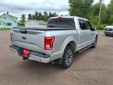 Used 2017 Ford F150 XLT w/ Equipment Group 302A Luxury image 6