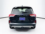 Used 2021 Ford Escape Titanium w/ Titanium Elite Package image 6