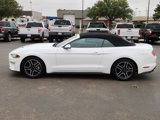 Used 2020 Ford Mustang Premium image 2