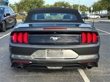Used 2019 Ford Mustang Premium w/ Equipment Group 201A image 4