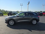 Used 2020 Ford Escape SE image 2
