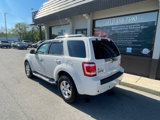 Used 2011 Ford Escape Limited w/ 302A Rapid Spec Order Code image 3