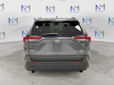 Used 2020 Toyota RAV4 XLE Premium image 4