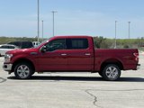 Used 2019 Ford F150 XLT w/ Equipment Group 302A Luxury image 4
