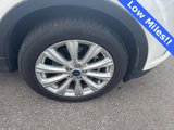 Used 2019 Ford Escape SEL image 4