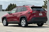 Used 2019 Toyota RAV4 XLE image 5