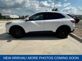 Used 2020 Ford Escape SE image 2