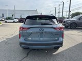 Certified 2024 INFINITI QX50 Sport image 5