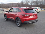 New 2025 Ford Escape ST-Line w/ Tech Pack #1 image 4