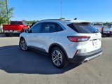 Used 2022 Ford Escape SEL image 5