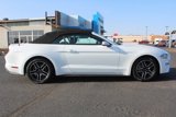 Used 2023 Ford Mustang Premium image 2