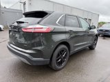 Used 2024 Ford Edge SEL image 5