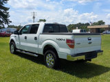 Used 2013 Ford F150 XLT w/ Luxury Equipment Group image 5