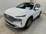 Used 2022 Hyundai Santa Fe SEL w/ Convenience + Premium Package image 3
