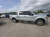 Used 2013 Ford F150 Platinum image 2