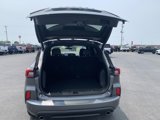 Used 2023 Ford Escape ST-Line w/ Tech Pack #1 image 4