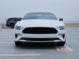 Used 2022 Ford Mustang Premium w/ Equipment Group 201A image 2