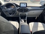 Used 2025 Ford Escape Active w/ Cold Weather Package image 2
