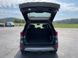 Used 2019 Ford Escape Titanium image 5