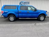 Used 2010 Ford F150 XLT image 3
