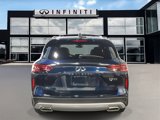 New 2024 INFINITI QX50 Luxe image 4