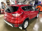 Used 2017 Ford Escape SE image 3
