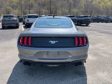 Used 2021 Ford Mustang Coupe w/ Equipment Group 101A image 4