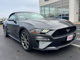 Used 2019 Ford Mustang Premium w/ Equipment Group 201A image 2